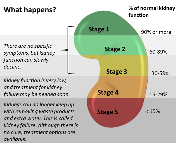 Stages of Chronic Kidney Disease – St. Anthony's Hospice